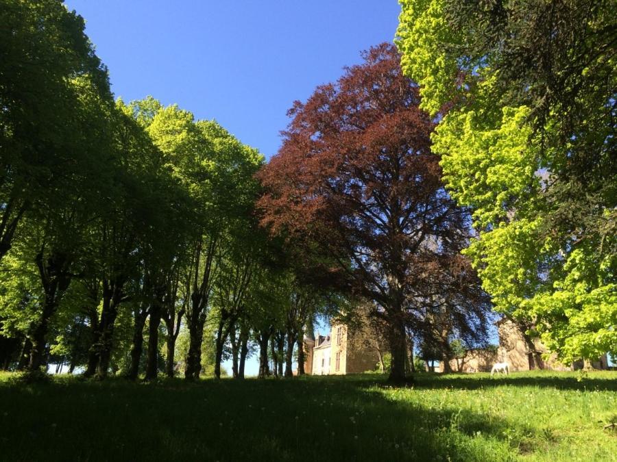 Chateau De La Forie Saint-Etienne-sur-Usson Екстер'єр фото