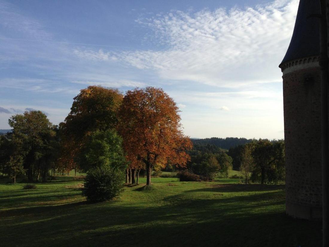 Chateau De La Forie Saint-Etienne-sur-Usson Екстер'єр фото