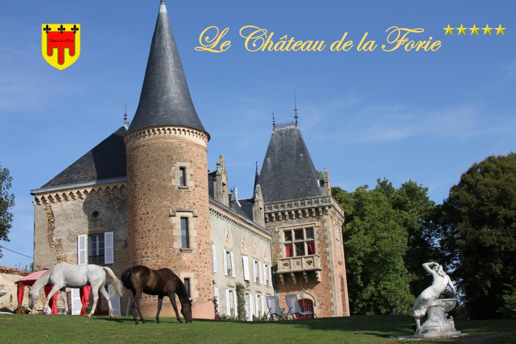Chateau De La Forie Saint-Etienne-sur-Usson Екстер'єр фото
