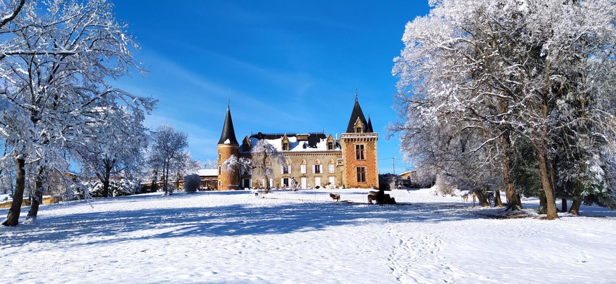 Chateau De La Forie Saint-Etienne-sur-Usson Екстер'єр фото